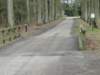 NWK 2012 025_small.jpg